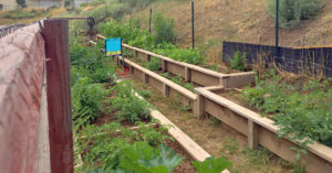 Community Garden - Durango Food Bank
